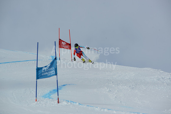 bibs 20-39-11