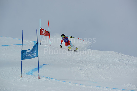 bibs 20-39-12