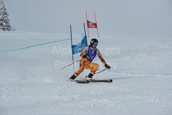 bibs 20-39-39