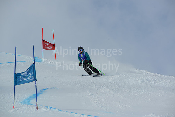 bibs 20-39-56
