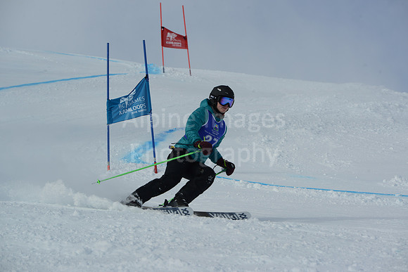 bibs 20-39-59