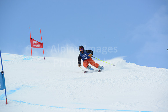 Bibe 20-39-115