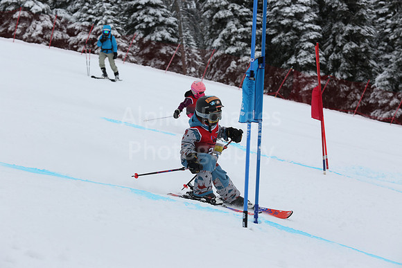 NGFFriday bibs F-20-51