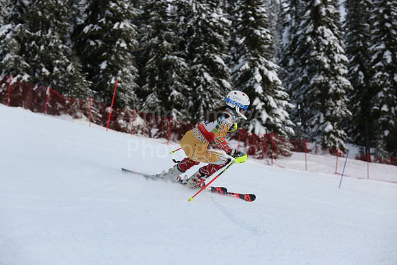 U16 SL G 11-20-50