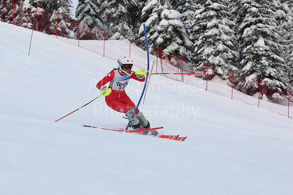 U16 SL G 11-20-80