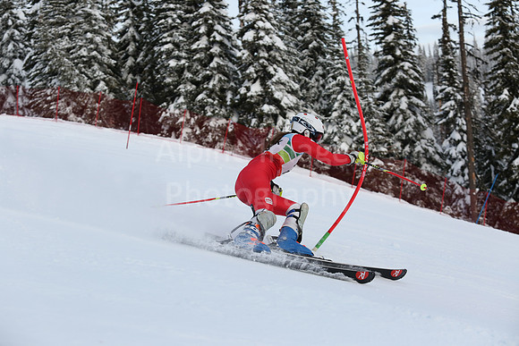 U16 SL G 11-20-84