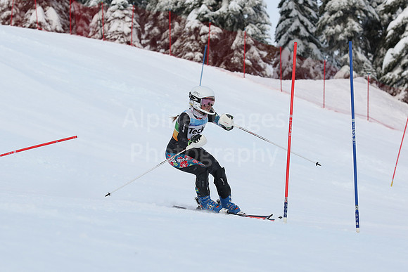 U16 SL G 11-20-206