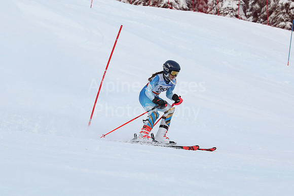 U16 SL G 21-30-175