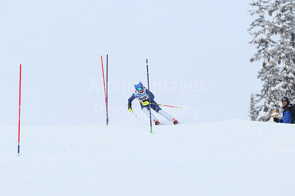 U16 SL G 41-50-49
