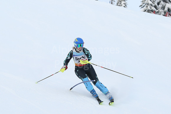 U16 SL G 41-50-81