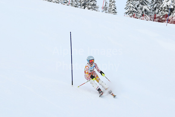 U16 SL G 41-50-141