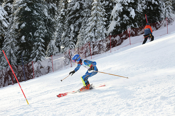 U16 SL B 41-50-70