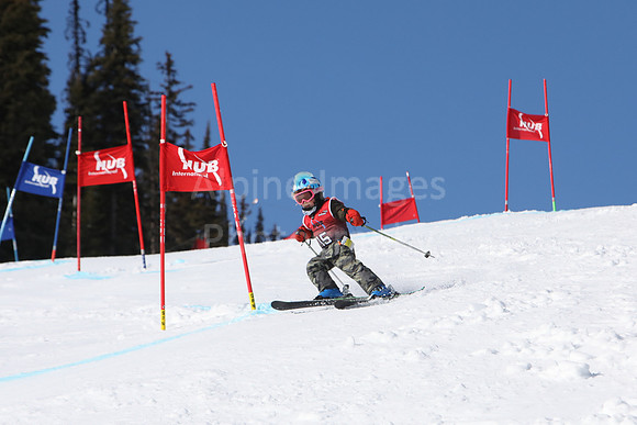 NGF2019Friday bibs f-20-73