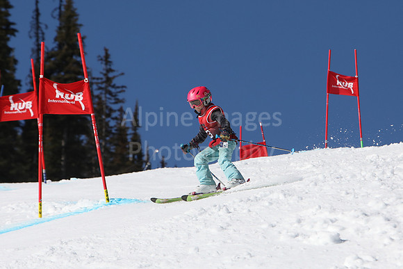 NGF2019Friday bibs 81-100-78