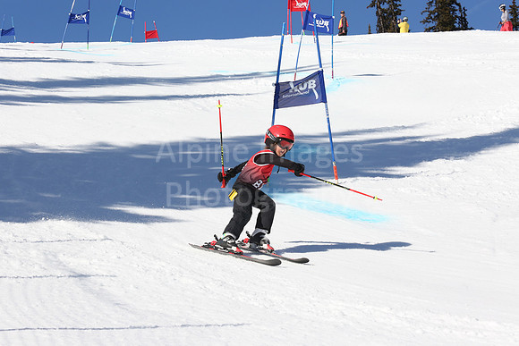 NGF2019Friday bibs 81-100-165