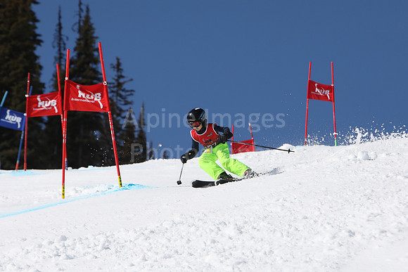 NGF2019Friday bibs 221-240-39