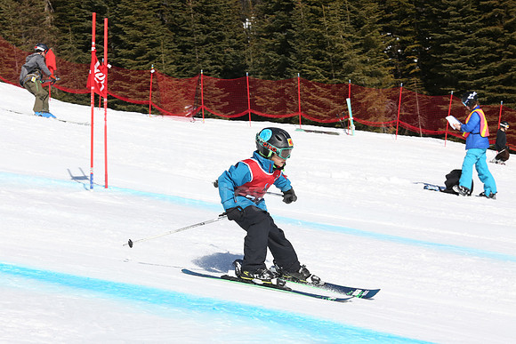 NGF2019Friday bibs 201-220-234