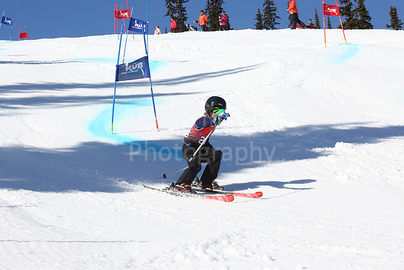 NGF2019Friday bibs 241-260-131