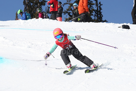 NGF2019Friday bibs 261-280-221