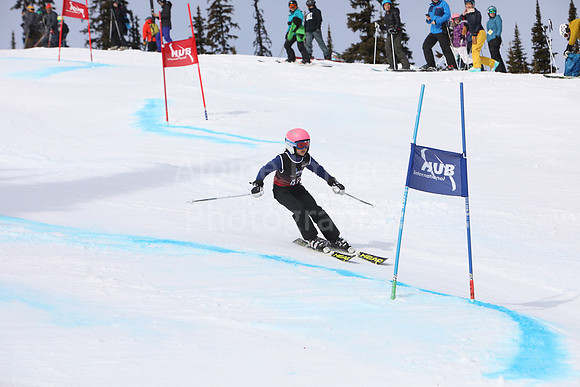 NGF2019Saturday Bibs 41-60-9