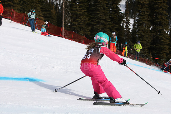 NGF2019Saturday bibs 61-80-15