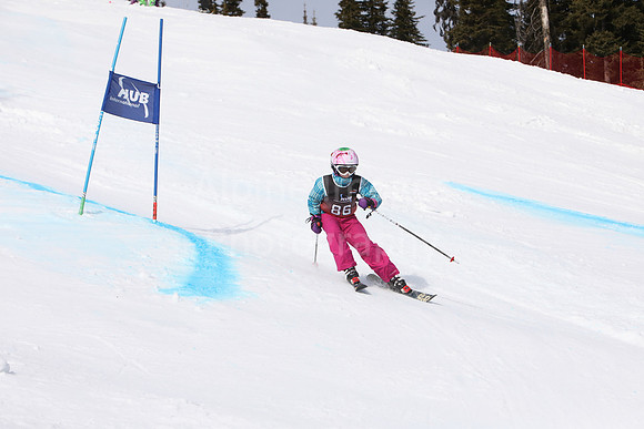 NGF2019Saturday bibs 81-100-40