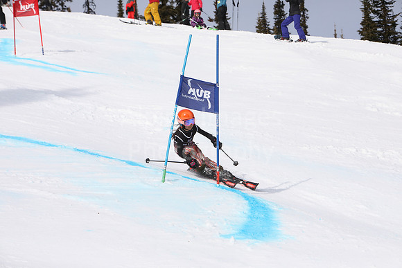 NGF2019Saturday Bibs 41-60-146
