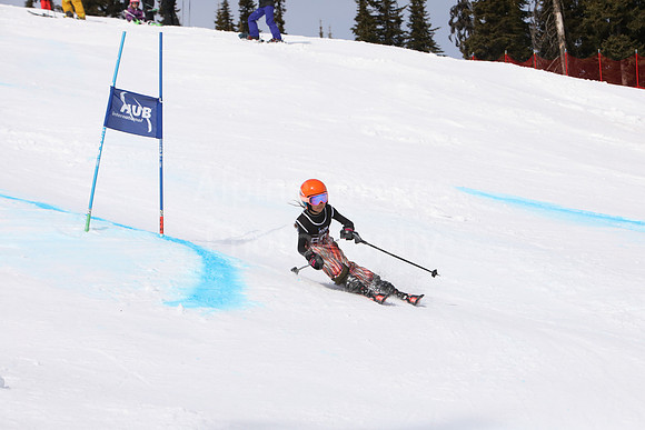 NGF2019Saturday Bibs 41-60-148