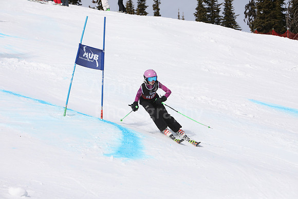 NGF2019Saturday bibs 81-100-50
