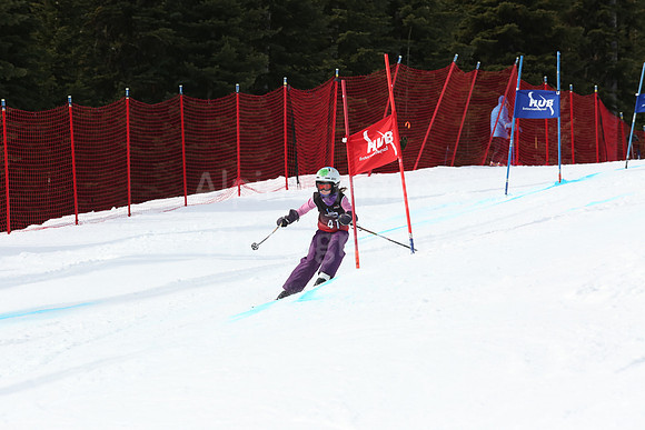 NGF2019Saturday Bibs 41-60-157