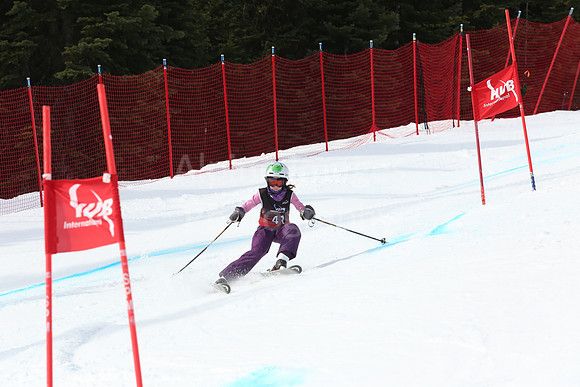 NGF2019Saturday Bibs 41-60-160