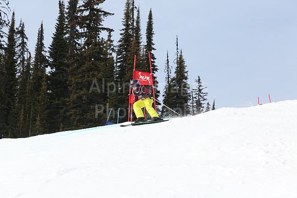 NGF2019Saturday Bibs 41-60-175