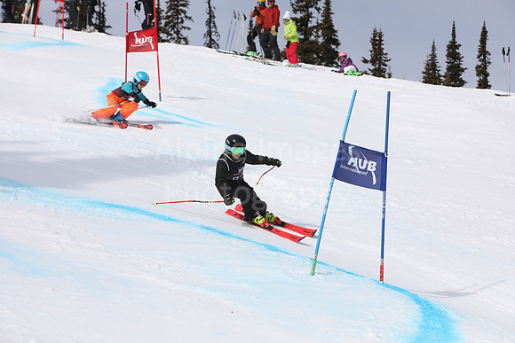 NGF2019Saturday bibs 81-100-88