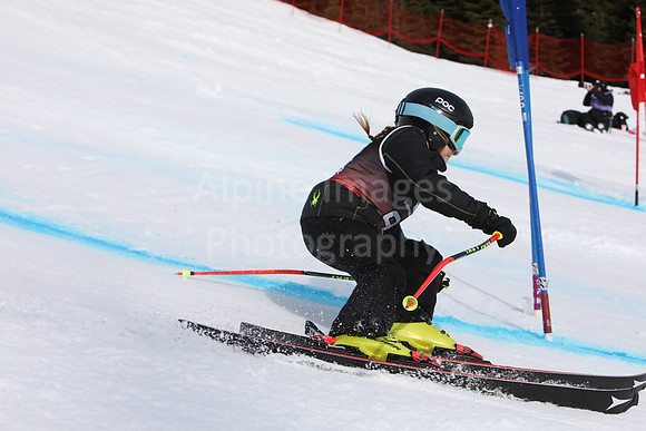 NGF2019Saturday bibs 81-100-95