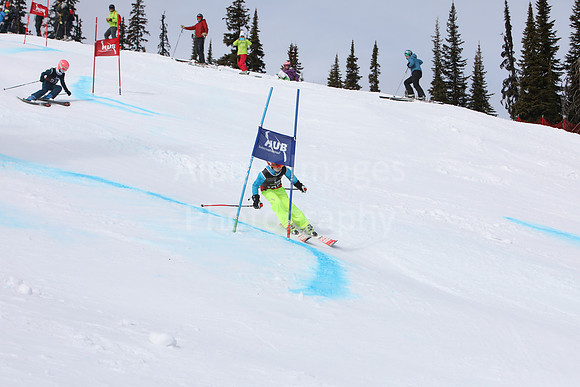 NGF2019Saturday bibs 81-100-138