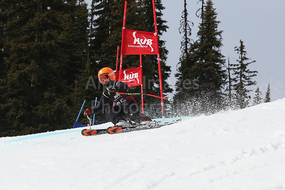 NGF2019Saturday bibs 81-100-178