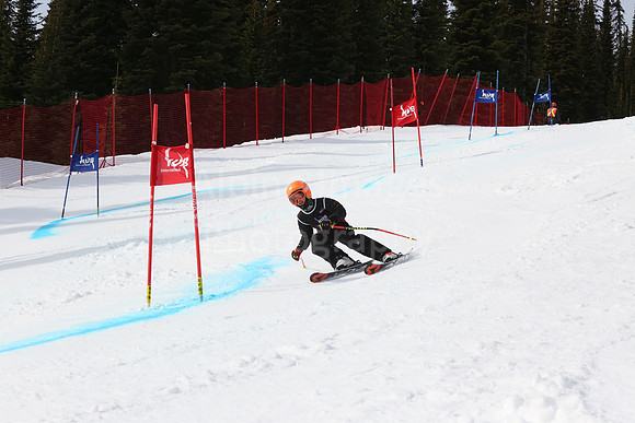 NGF2019Saturday bibs 81-100-185