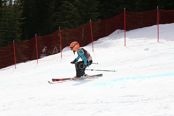 NGF2019Saturday bibs 101-120-229