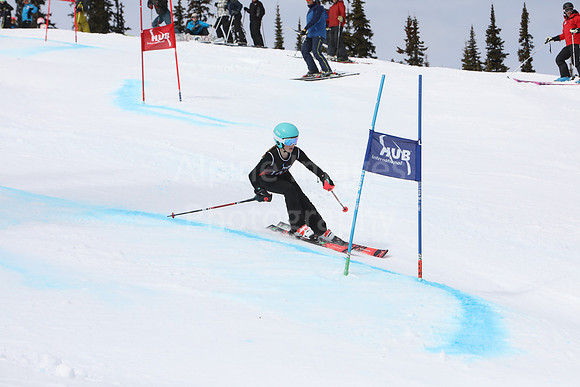 NGF2019Saturday bibs 141-160-75