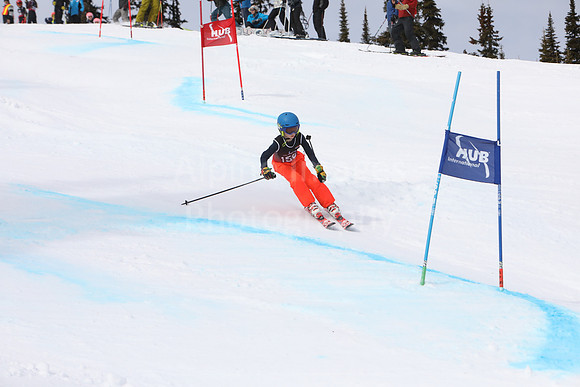 NGF2019Saturday bibs 141-160-92