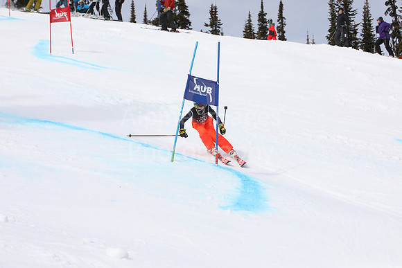 NGF2019Saturday bibs 141-160-94