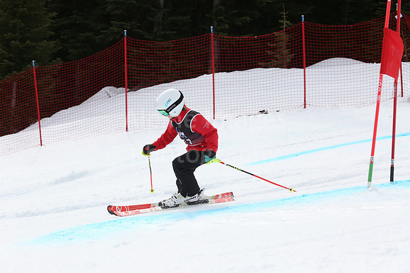 NGF2019Saturday bibs 161-180-247