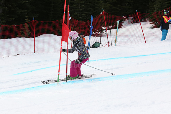 NGF2019Saturday bibs 161-180-259