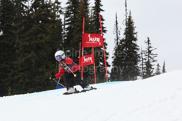 NGF2019Saturday bibs 161-180-276
