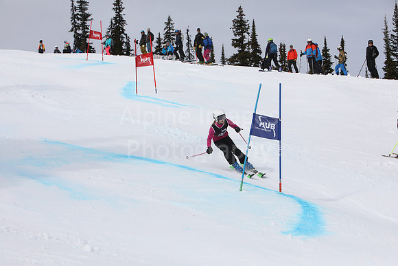 NGF2019Saturday bibs 181-200-31