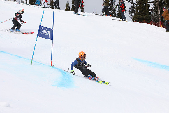 NGF2019Saturday bibs 181-200-168