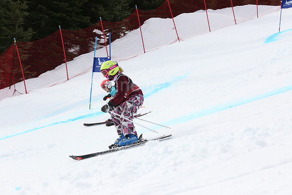 NGF2019Saturday bibs 181-200-185