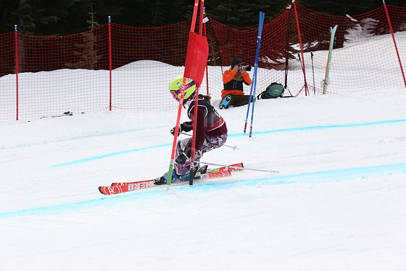 NGF2019Saturday bibs 181-200-188