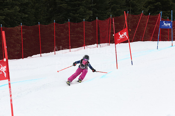 NGF2019Saturday bibs 181-200-213