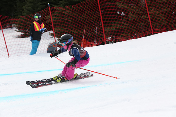 NGF2019Saturday bibs 181-200-224